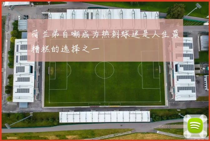 荷兰弟自嘲成为热刺球迷是人生最糟糕的选择之一
